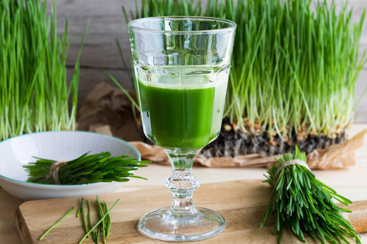 How to Grow Your Own Wheatgrass?