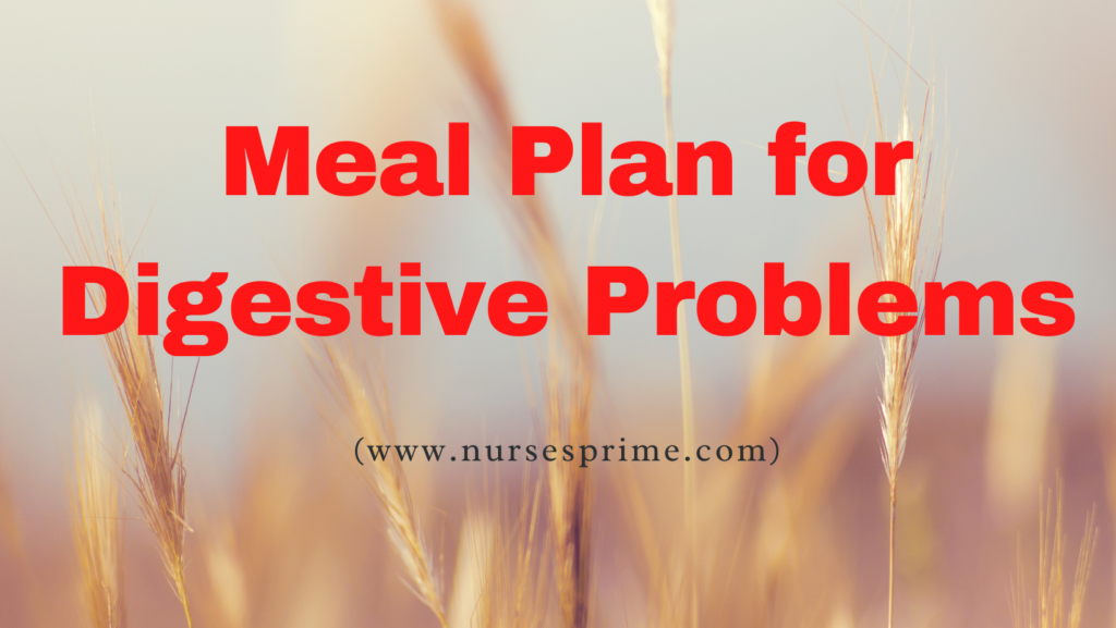 Meal Plan for Digestive Problems