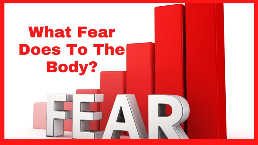 What Fear Does To The Body?