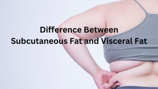 Difference Between Subcutaneous Fat and Visceral Fat